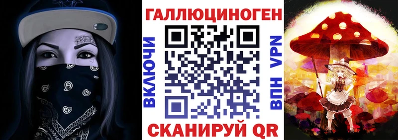 как найти закладки блэк спрут рабочий сайт Галлюциногенные грибы Psilocybe Валдай